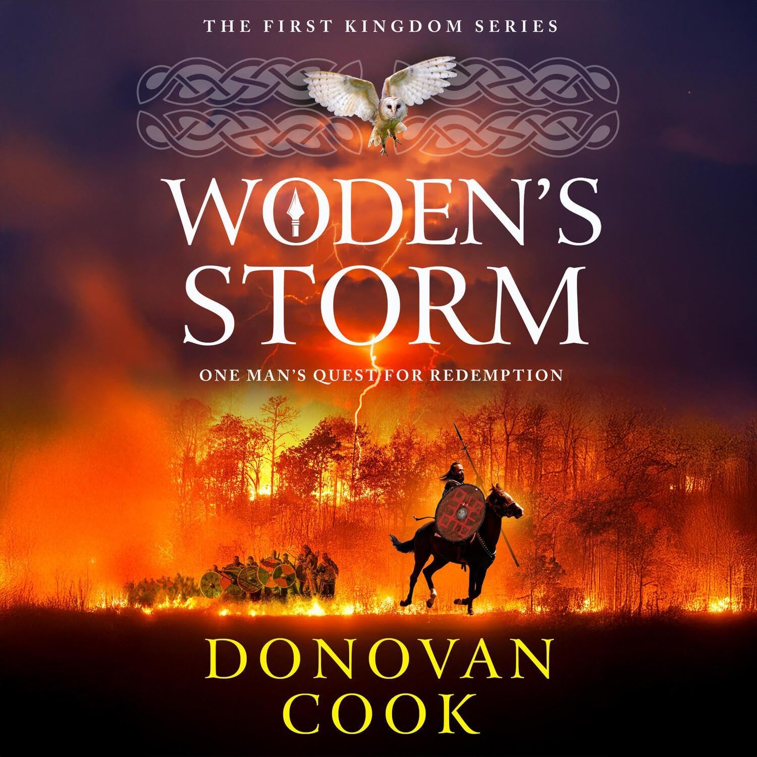 Cover art for Woden's Storm