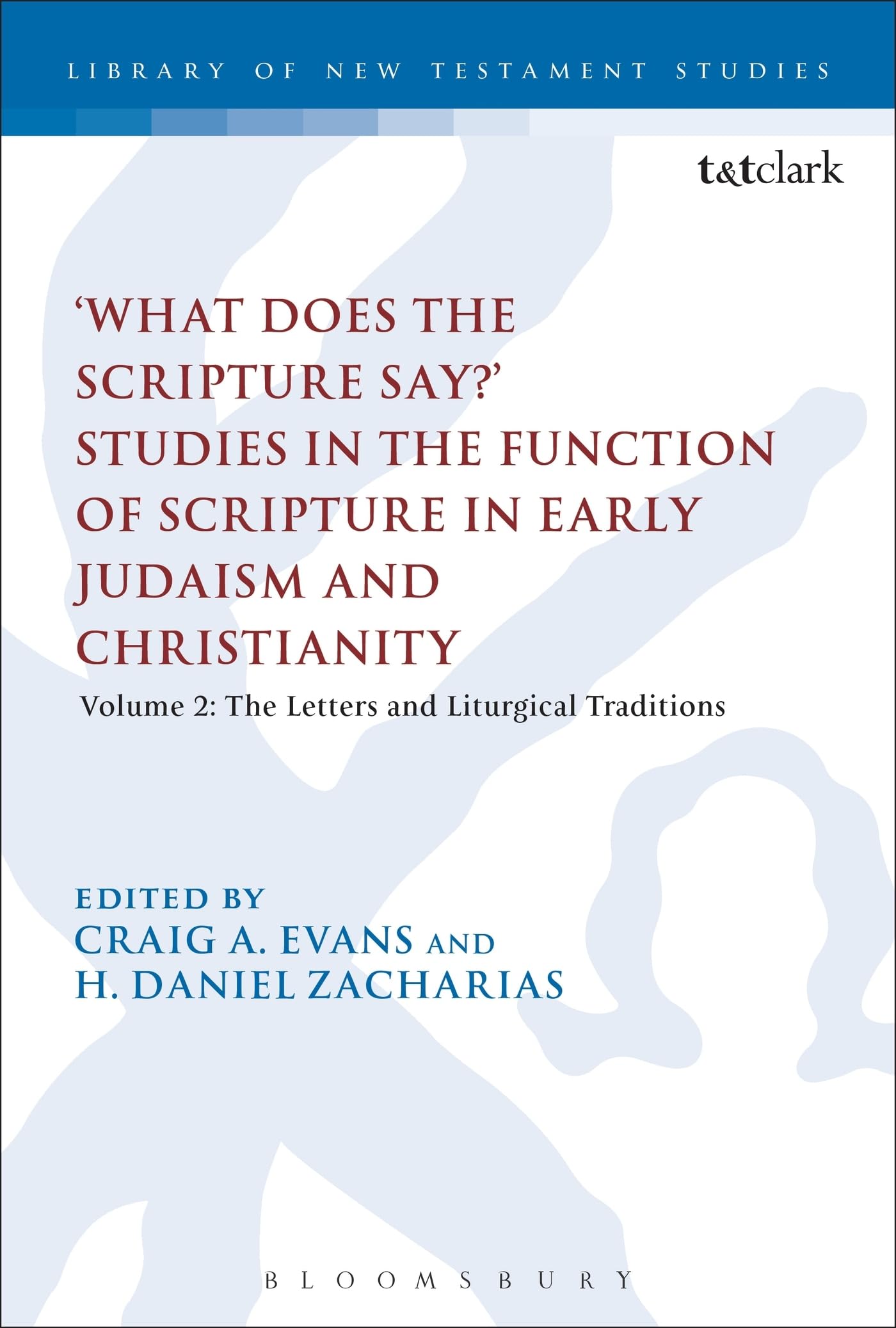 'What Does the Scripture Say?' Studies in the Function of Scripture in Early Judaism and Christianity: Volume 2: The Letters and Liturgical Traditions (The Library of New Testament Studies)