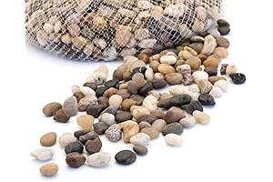 Royal Imports 5lbs River Pebbles - Decorate with Distinction