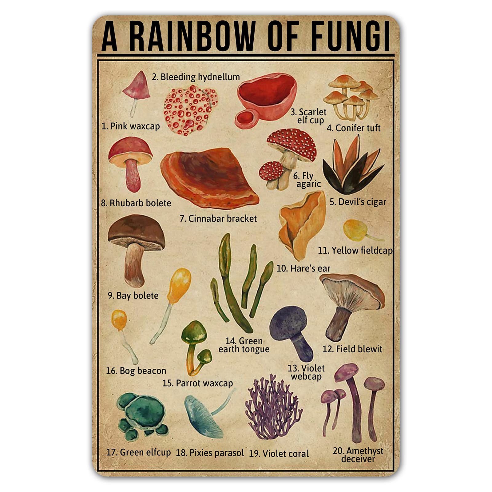 SmartCows A Rainbow of Fungi Vintage Tin Sign Mushroom Fungi Knowledge Metal Signs Nature Lover Wall Art Poster Decor 8X12 Inches