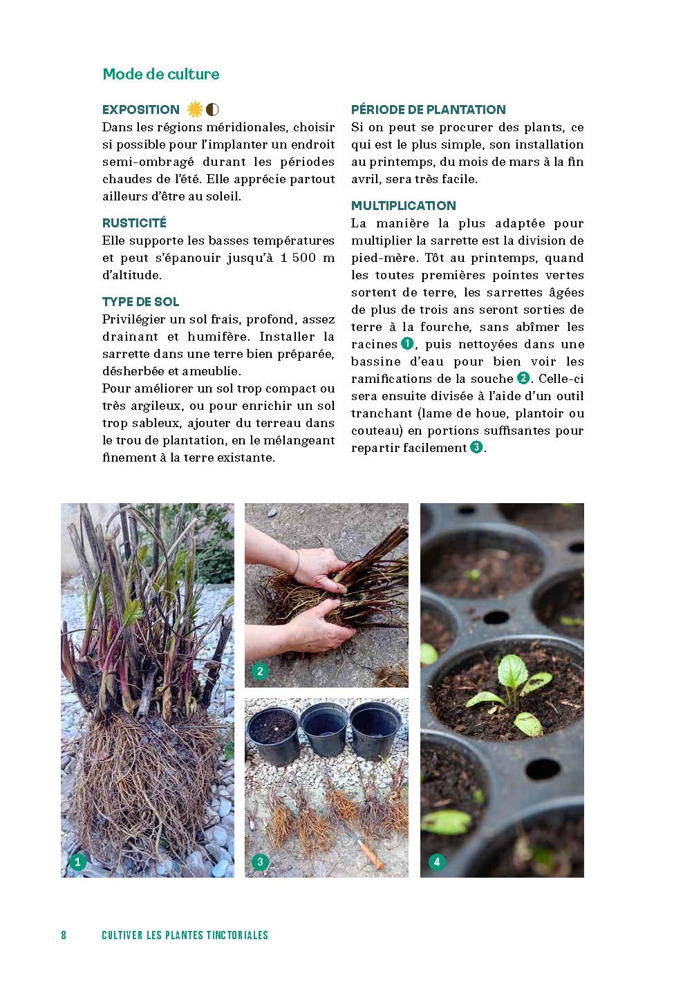 Cultiver les plantes tinctoriales: Créer son jardin, ses couleurs et ses teintures