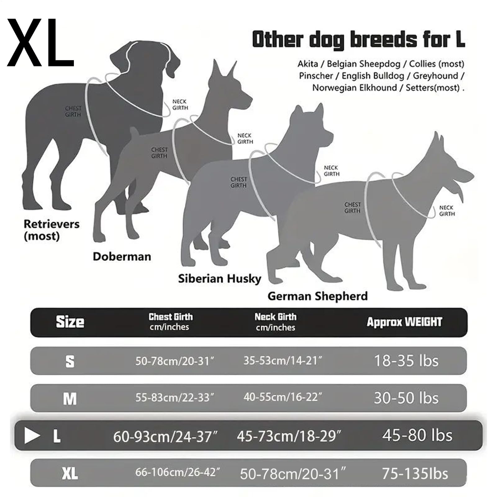 Imbracatura A Gilet Per Cani Maniglia Collare Traspirante Grande | Pettorina Cani Servizio Anti-Trazione Riflettente Passeggiate Escursioni Addestramento Caccia Corsa Campeggio Avventure