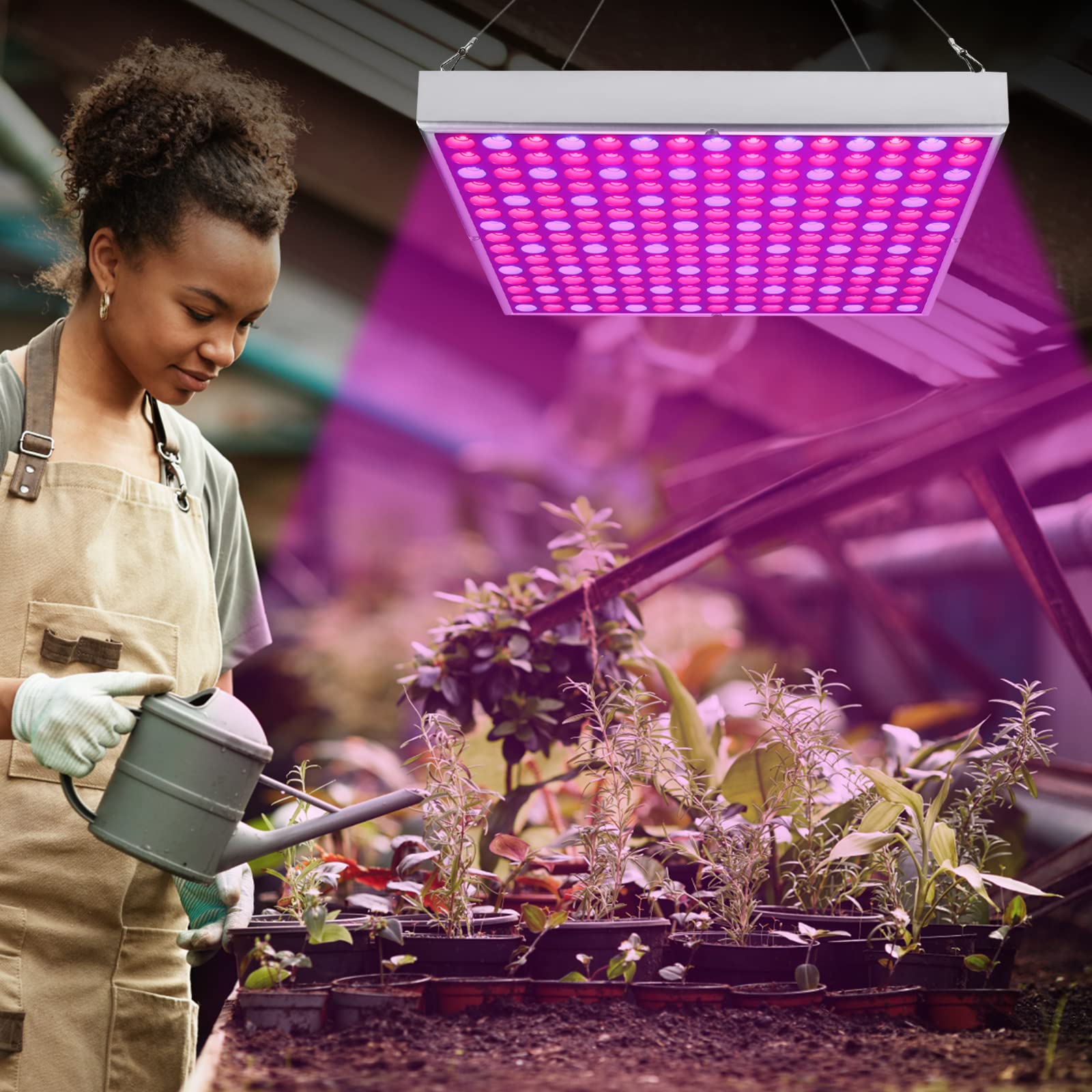LED planten groeilamp GINGKO - LED planten groeilamp GINGKO - Nederland