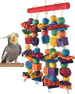 Natural Wood Block & Rattan Chewing Toy for Medium to Small Parrots
