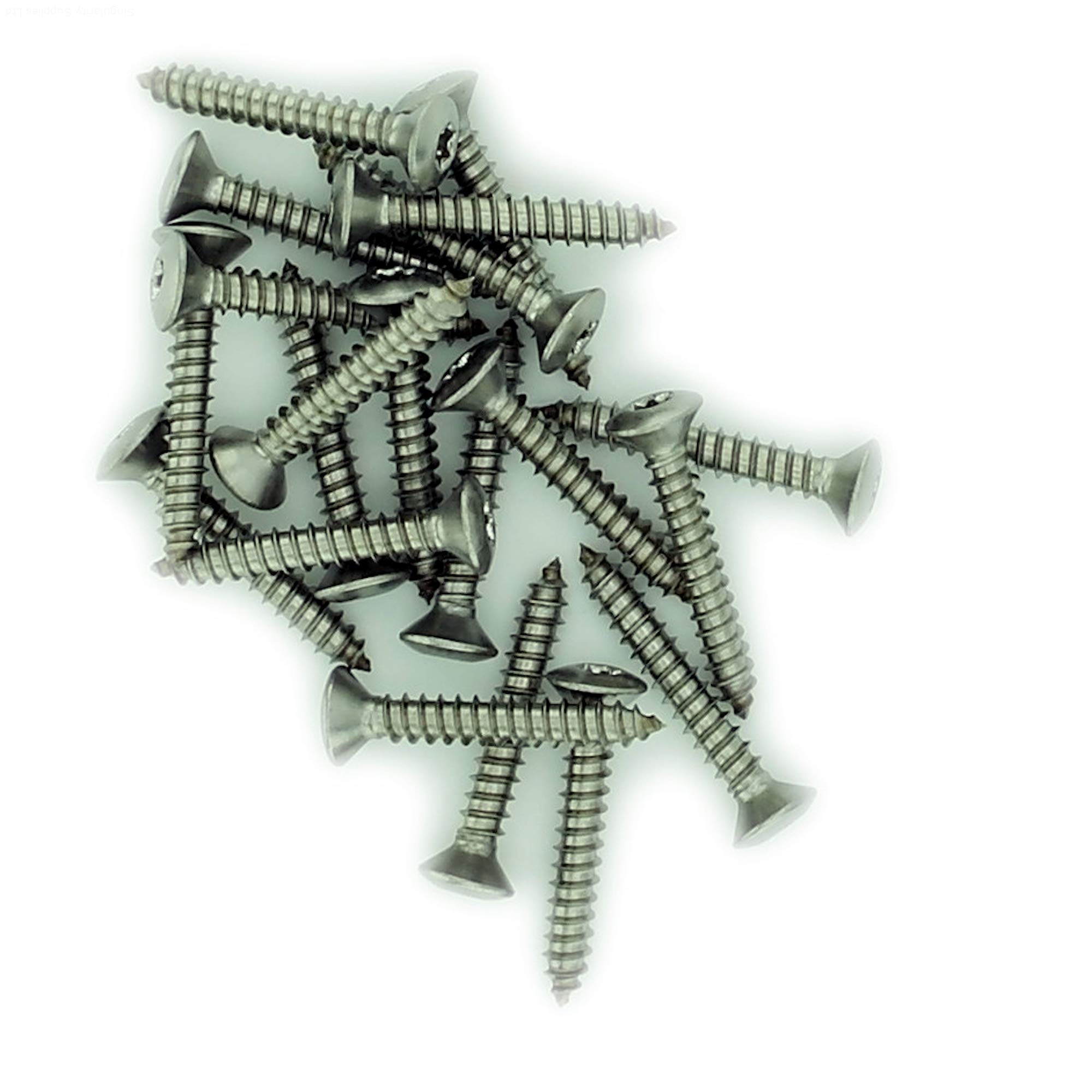Singularity Supplies Silver No.8 X 0.625 (4.2Mm X 16Mm) Tx Raised Countersunk Self-Tapping Screw - Stainless Steel (A2) (Pack Of 20)