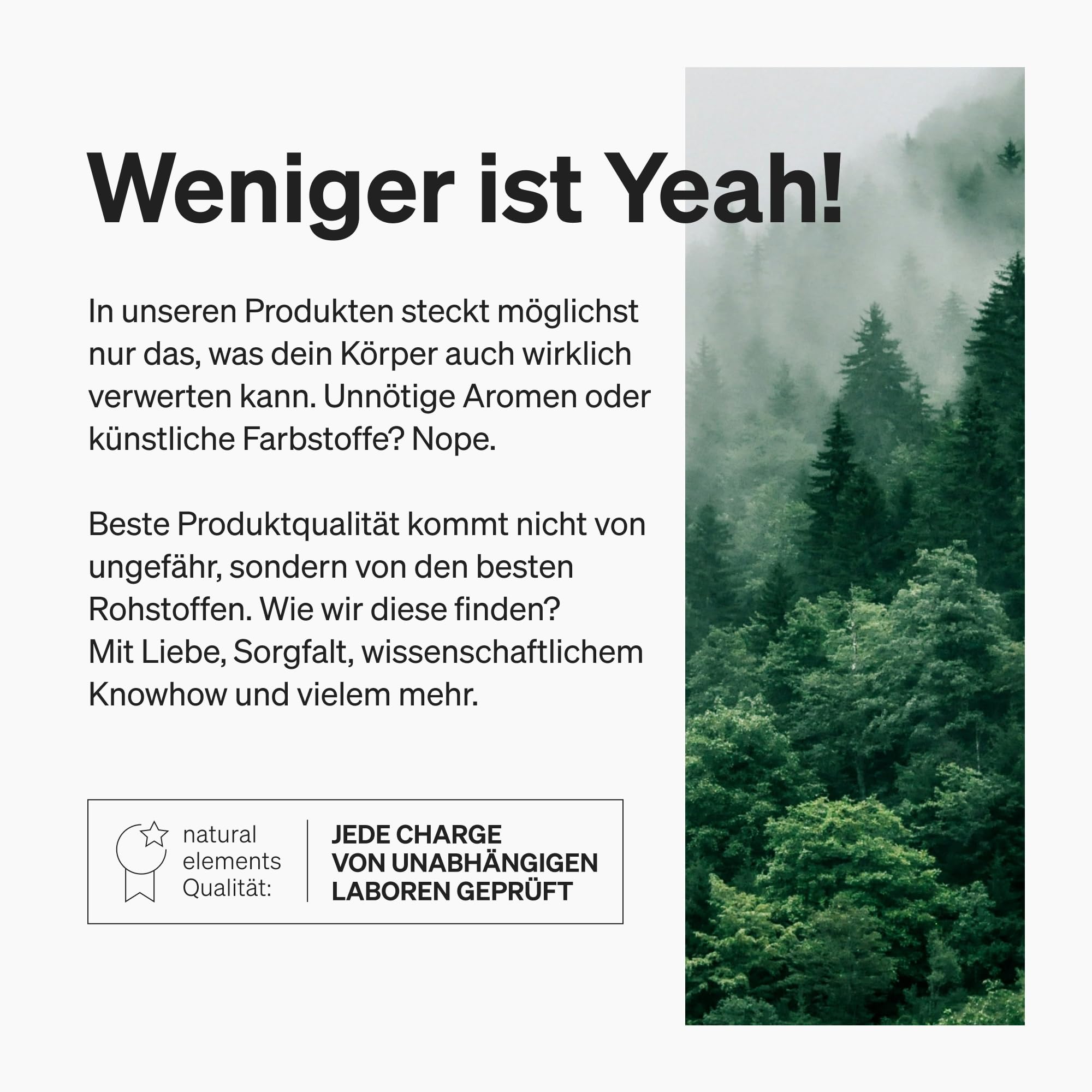 natural elements MSM 2000mg + natürliches Vitamin C – 365 Tabletten statt Kapseln – Methylsulfonylmethan – hochdosiert, vegan – in Deutschland laborgeprüft
