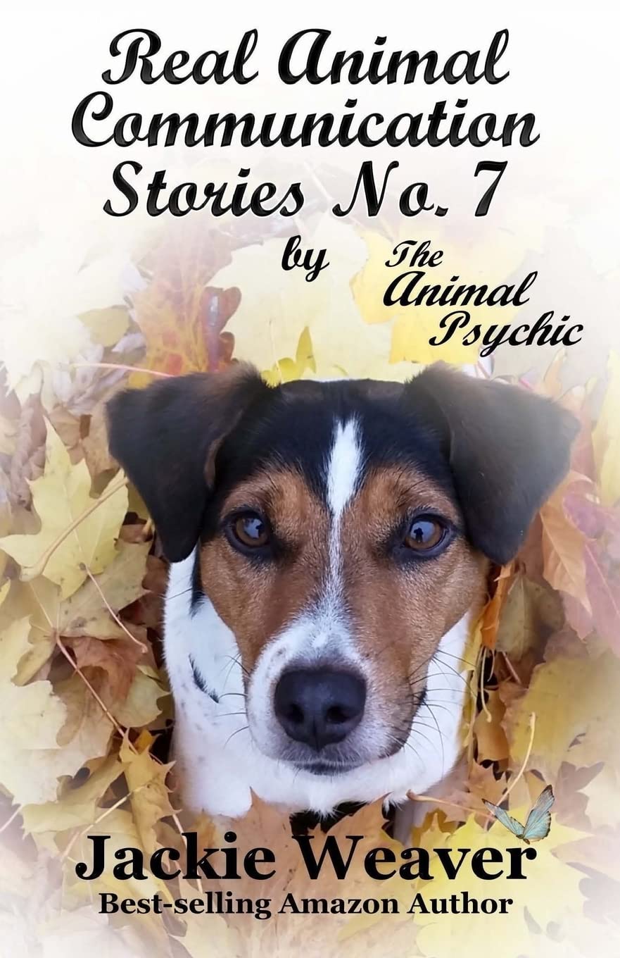 Real Animal Communication Stories No. 7: by The Animal Psychic: Volume 7