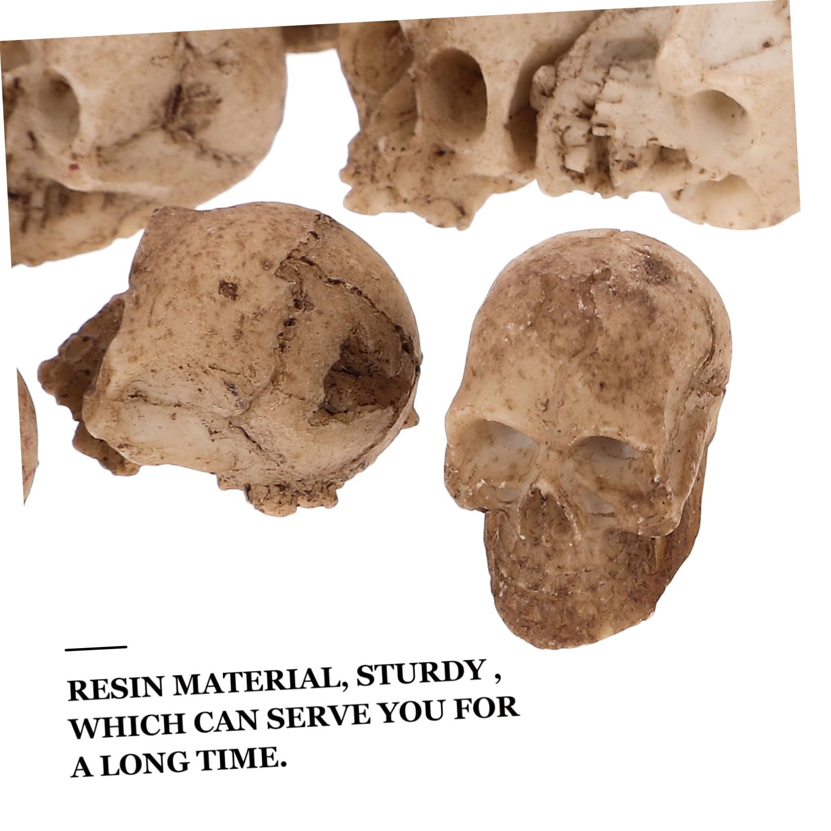 echidna 花瓶 頭蓋骨 plants born （ human）フラワーベース | echidna