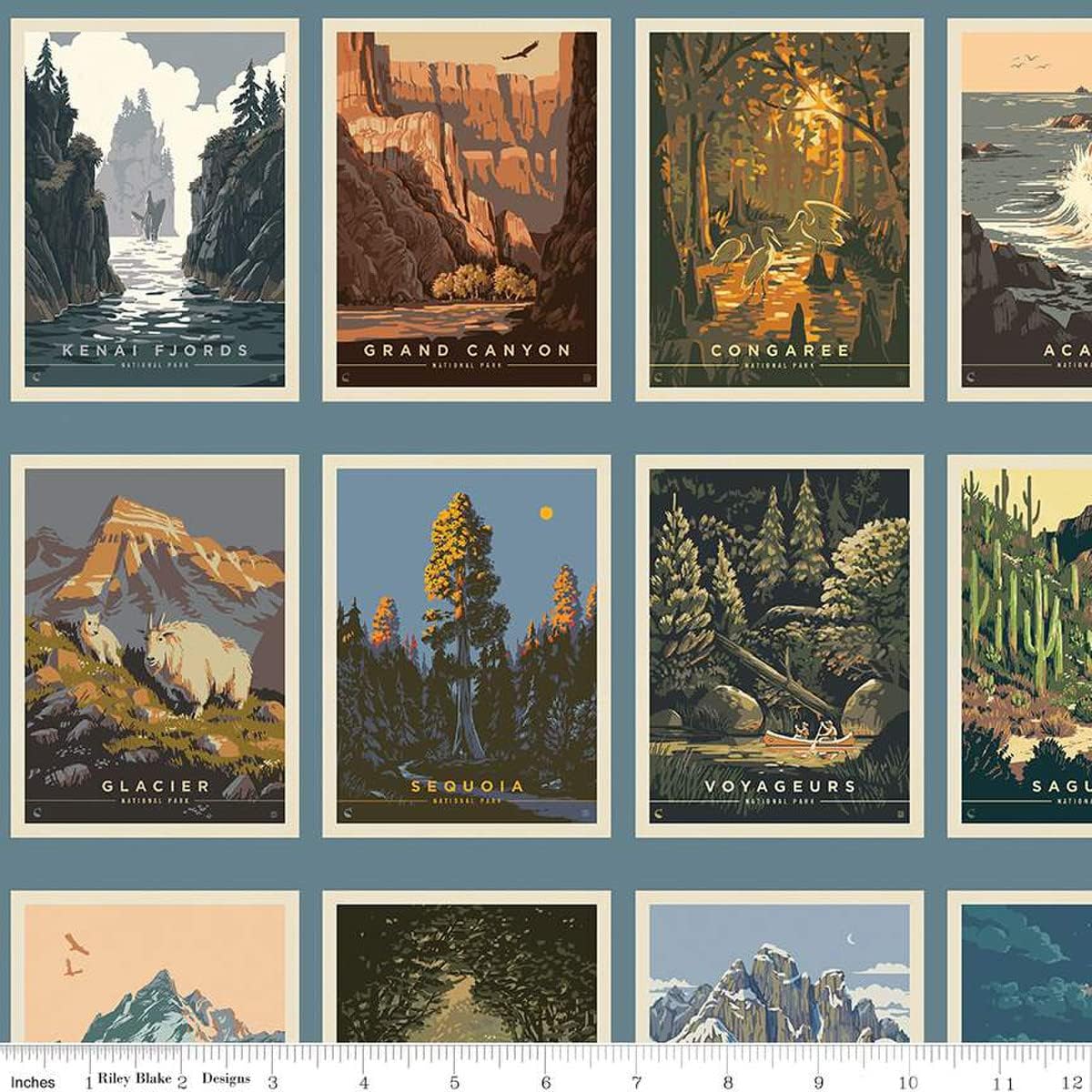 Riley Blake All Newly Designed National Parks Postcards Panel with Blue Borders, Quilting, Apparel and Home Decor Fabric (Blue 46"x43")