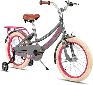 JOYSTAR Girls Bike for Toddlers and Kids Age 3-10 Years, 14 16 18 Inch Kids Bike with Training Wheels and Handbrakes, 20Inch Girls Bike, Multiple Colors