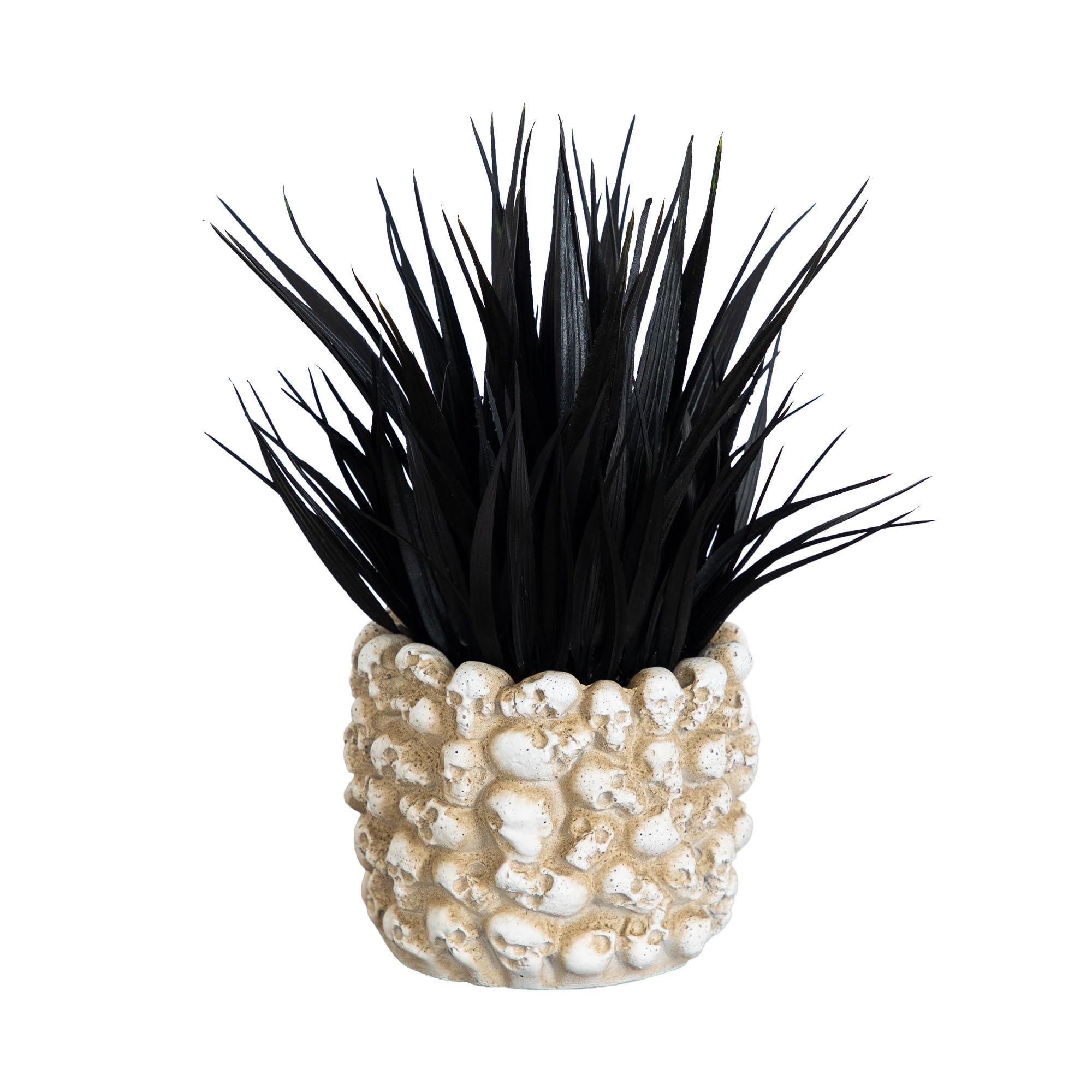 Nearly Natural 9in Artificial Black Succulent in Gothic Skull Planter