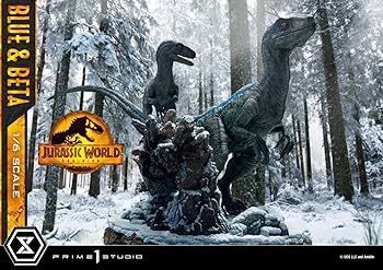 71tTkApHy7L._AC_UF350,