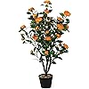 Product Photo 1