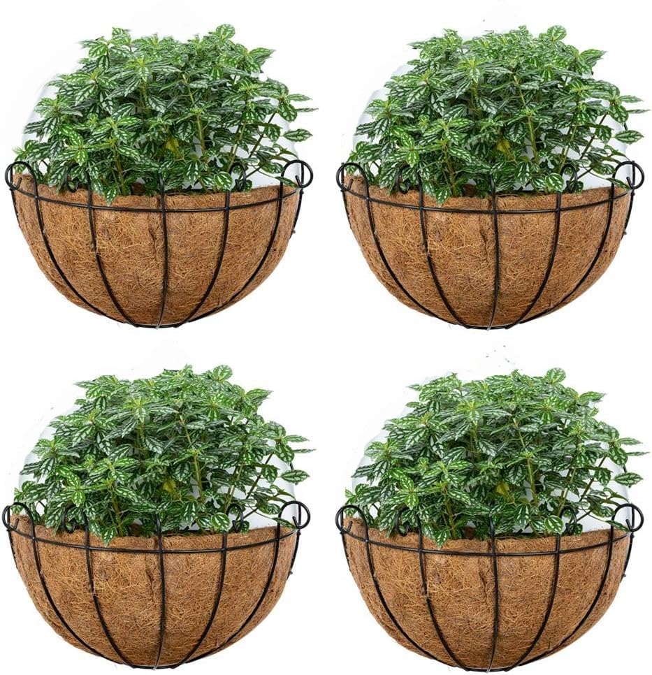 Tim Tim Agro Hanging Wall Planters, 4 Pcs, 12 inch Wall Hanging Baskets, Half Moon Baskets, Outdoor Hanging Flower Pots with Coco Liners, for Plants, Indoor and Outdoor Use, Metal, Black (B0D5YYPZYG) Amazon Price History, Amazon Price Tracker