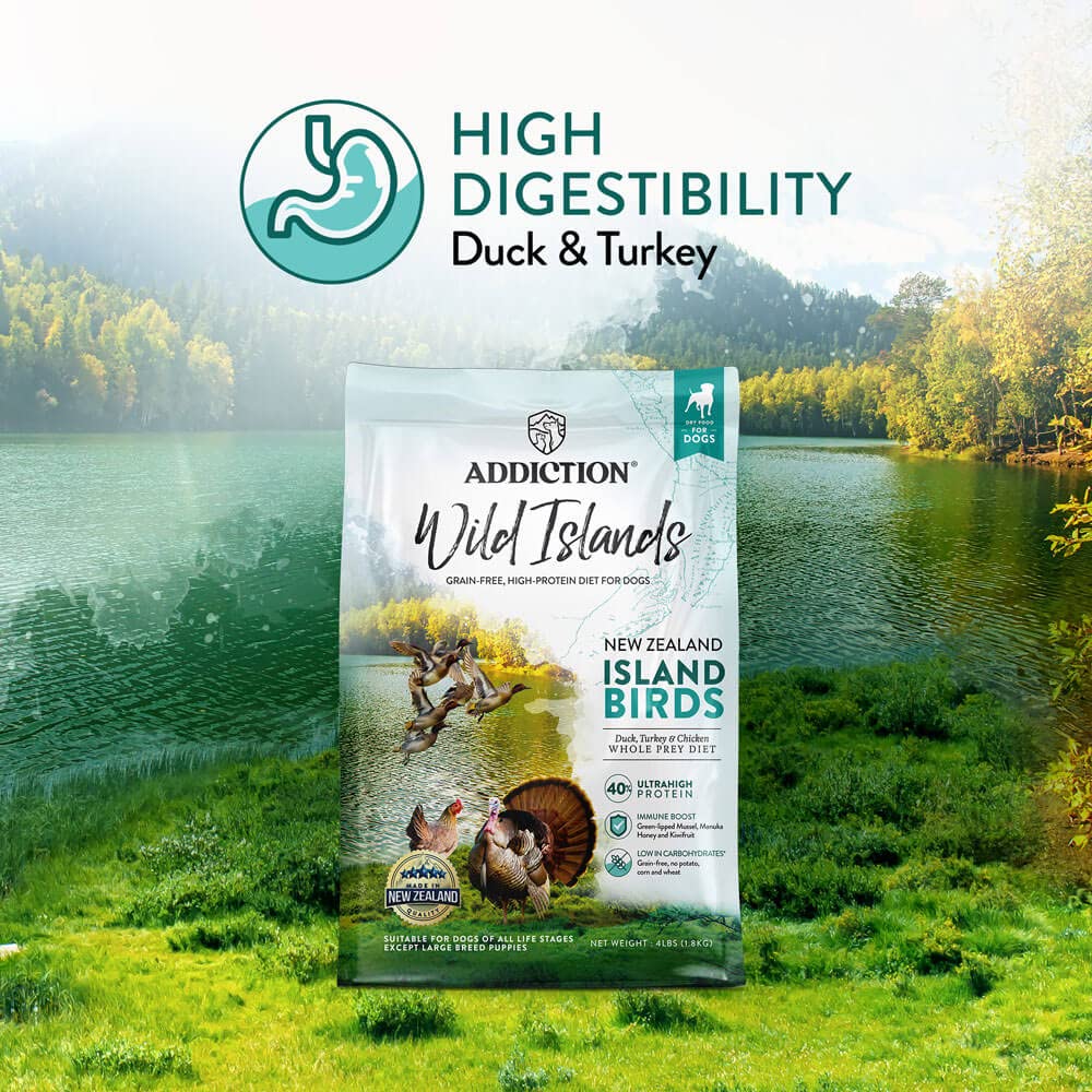 Amazon.co.jp: Y.K アディクション ワイルドアイランズ アイランド  