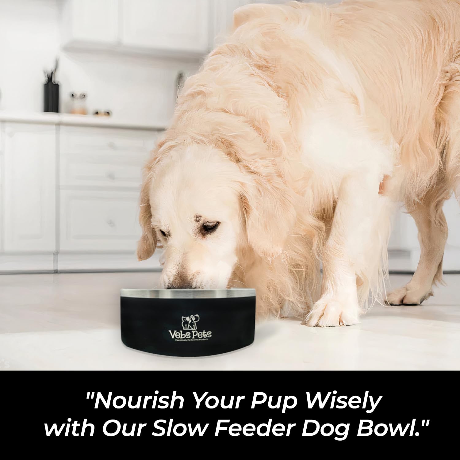 64 oz Premium Insulated Stainless Steel Dog Bowl - Non-Slip, Spill-Proof, BPA-Free - Includes A Slow Feeder Insert, Dog Dish, Water and Food Bowl Feeding of Large and Medium Dogs - Black - image 6