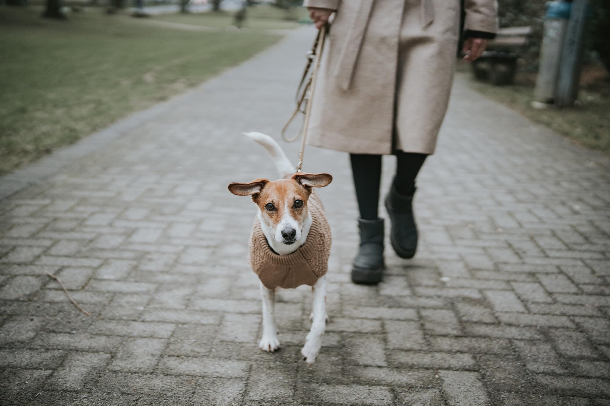 HUNTER Hundepullover MALMÖ, Farbe: beige, klassisches Zopfstrick-Muster, wärmend & bequem, elastisch für optimalen Sitz, reflektierend für mehr Sichtbarkeit, waschbar bei 30°C, Größe: 40