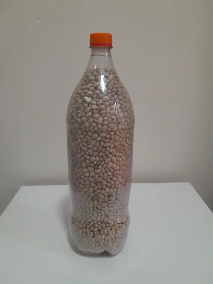 Feijão Carioca para Consumo,Plantio,Orgânico do Norte de Minas Gerais 2 Litros