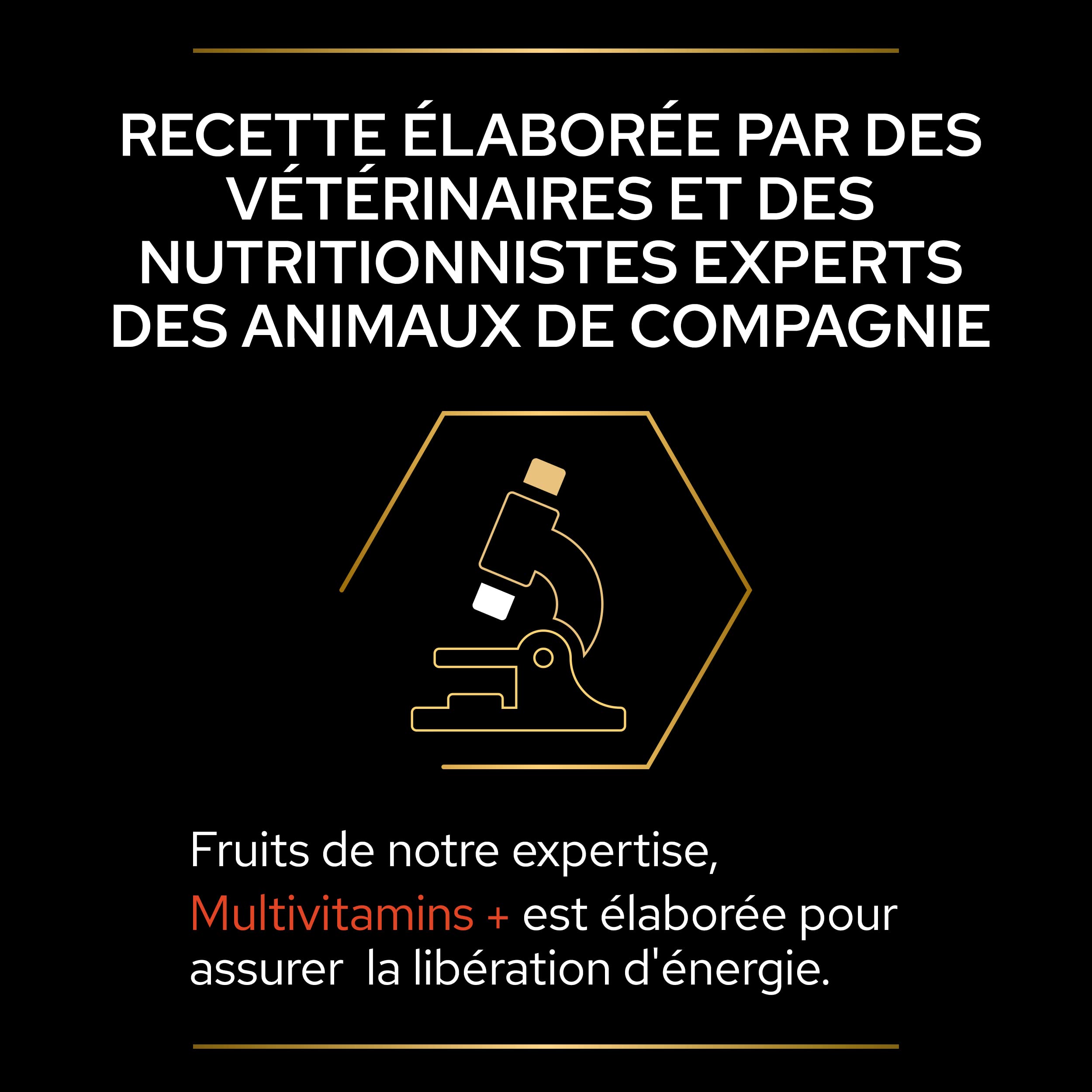 PURINA PRO PLAN | Multivitamins+ | Chat | Aliment complémentaire pour Chat Adulte | Favorise la libération d'énergie pour la vitalité et la bonne santé générale | Poudre | Boîte de 60g
