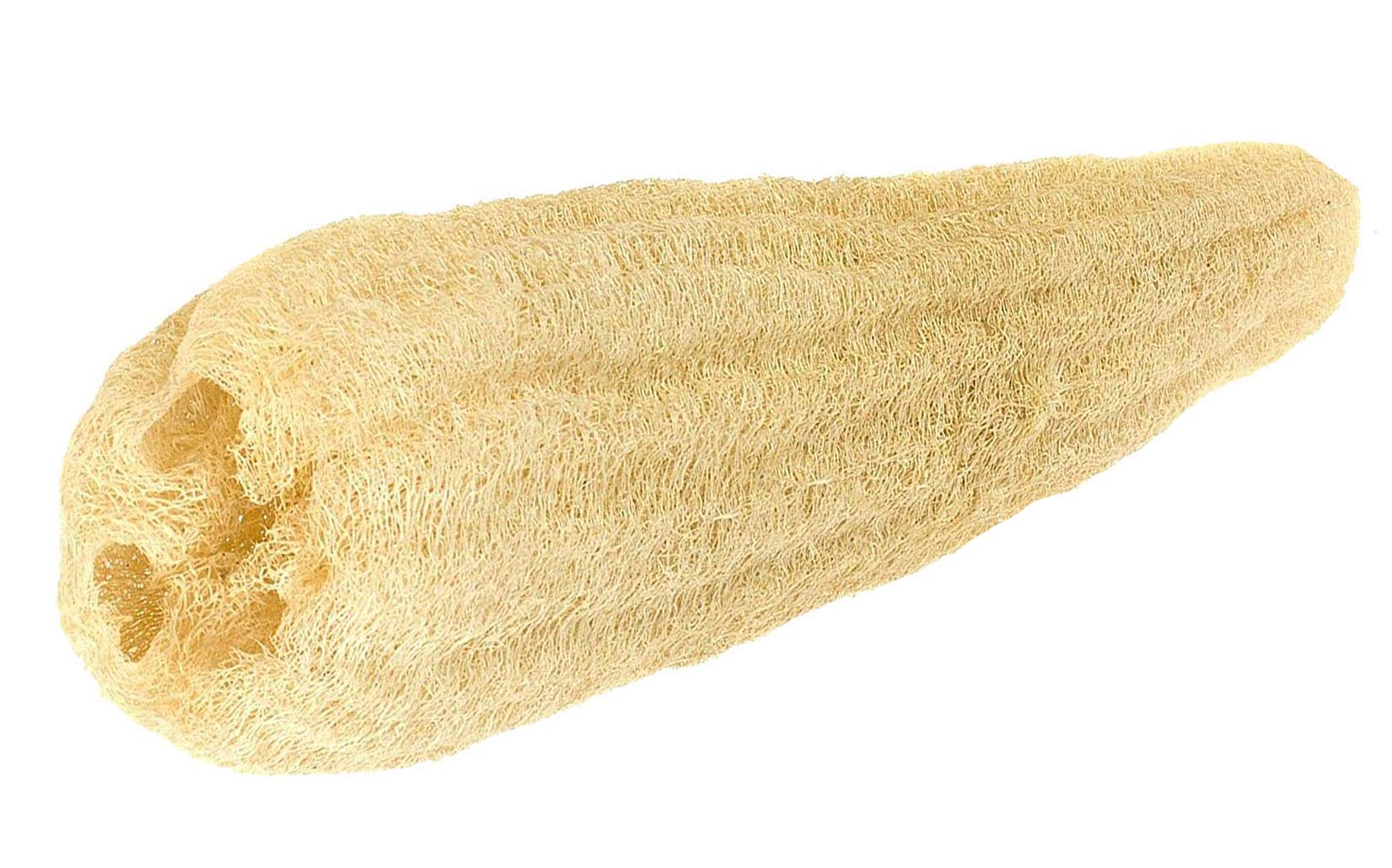 bonballoon 1 Pcs Egyptian 50cm Loofah Luffa Loffa Lofa Loofa Scrubber Sponge 100% Natural Organic SPA Beauty Bath Body Luxurious Premium Quality for Skin exfoliating