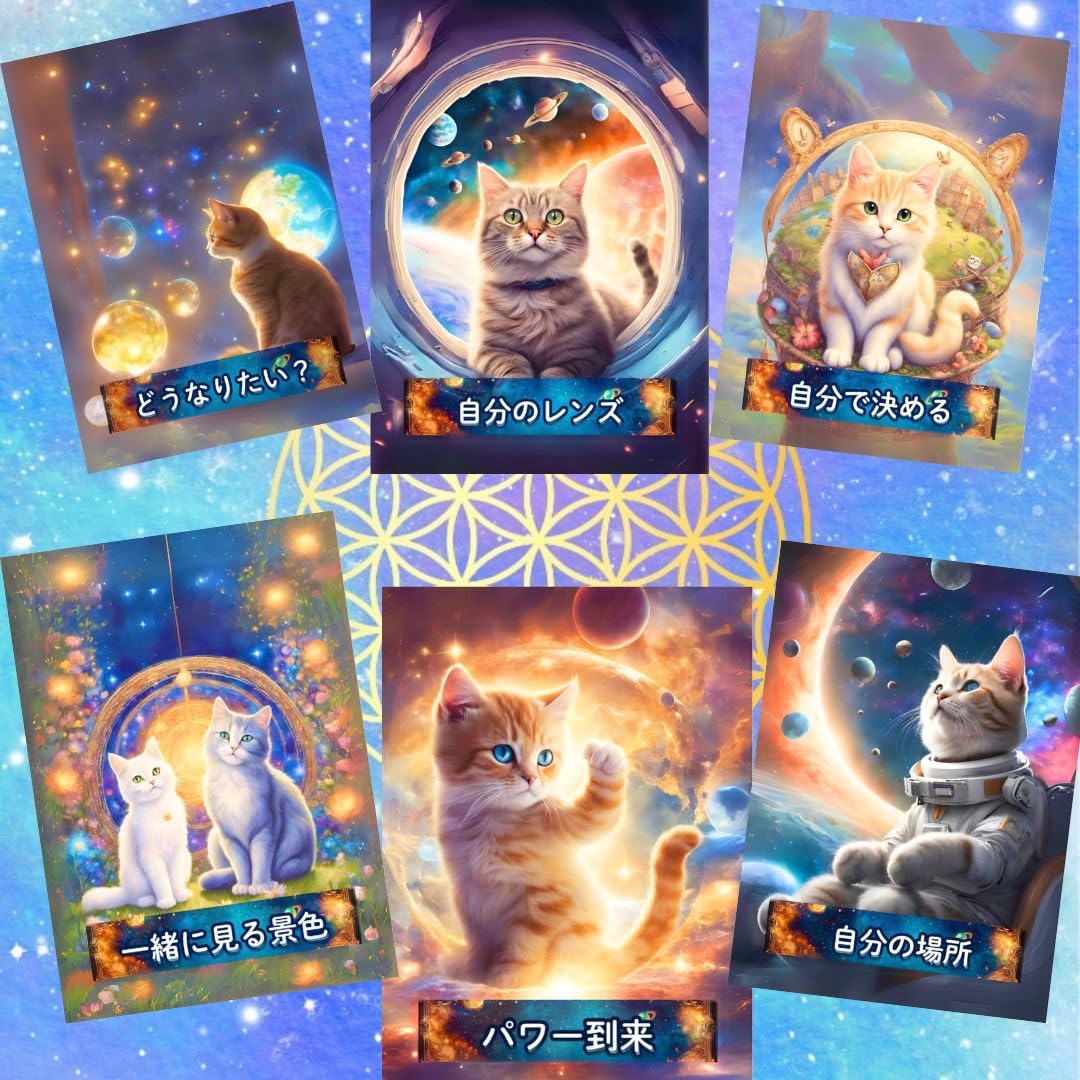 Amazon | 宇宙ねこカード ｜ キャットヒーリング創始者 心蓮（ここは