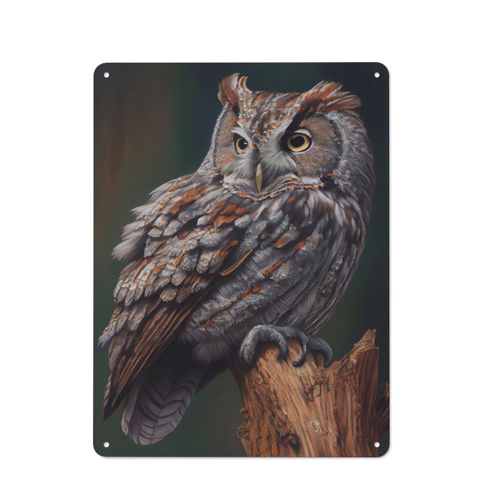 Junmoney Eastern Screech Owl Shed Style Shed Metal Sign 40X30cm, Shed Wall Decor For Shed, Garden Room, Porch Or Garage