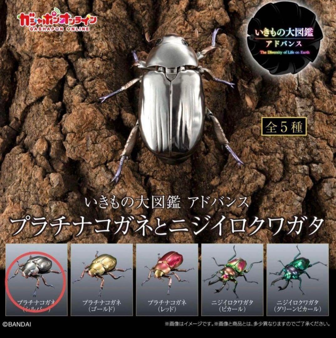 Amazon.co.jp: いきもの大図鑑 プラチナコガネ とニジイロ