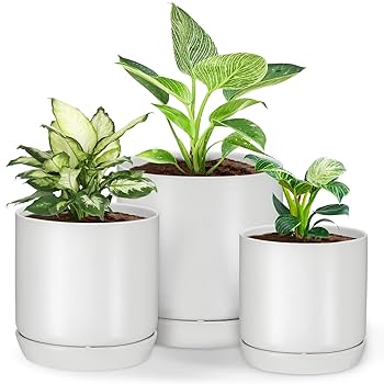 Amazon.co.jp: PLANTATOREM 植木鉢 おしゃれ 陶器 陶器鉢