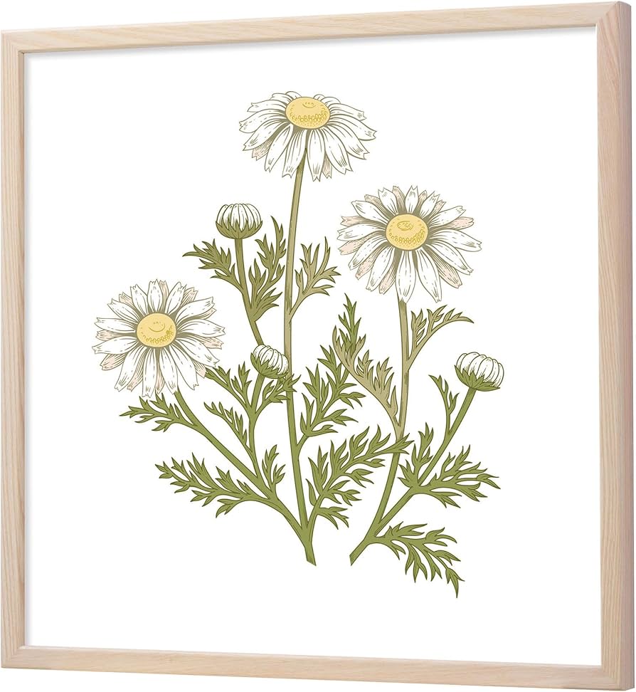 【新品】ラーソンジュール 額縁 イタリア製565x445mm 切絵作家 作品付 新品】ラーソンジュール 額縁 イタリア製565x445mm 切絵作家