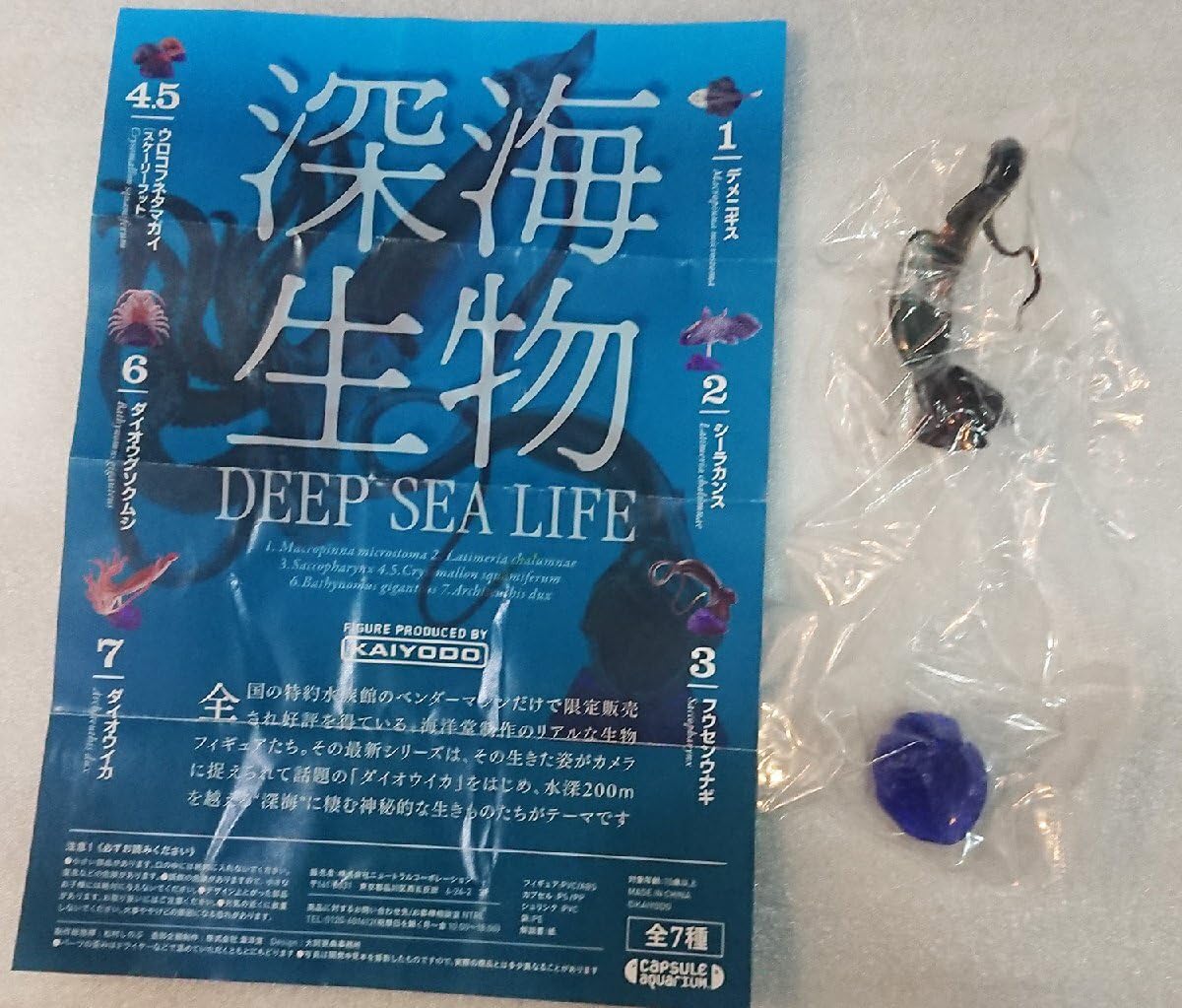 Amazon.co.jp: 深海生物 DEEP SEA LIFE 3 フウセンウナギ 水族館限定