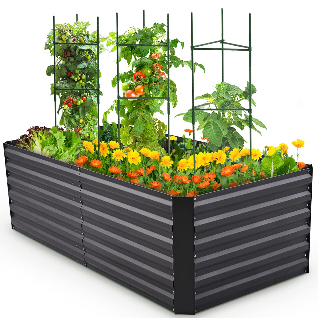Buy Quictent Galvanized Raised Garden Bed 6x3x2ft Tall Garden Bed Extra