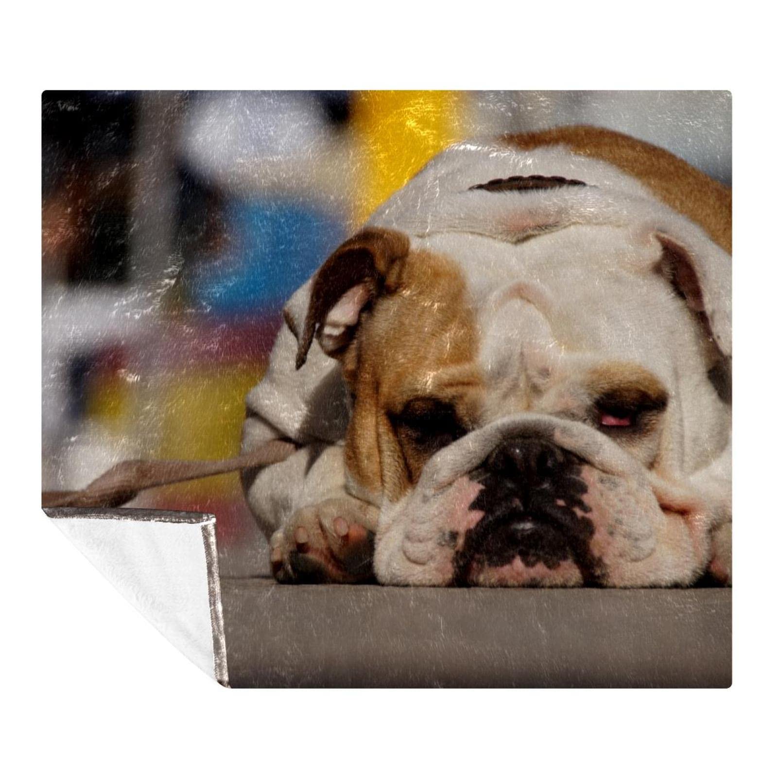 Couverture polaire bouledogue animal pour lit et canapé de chambre