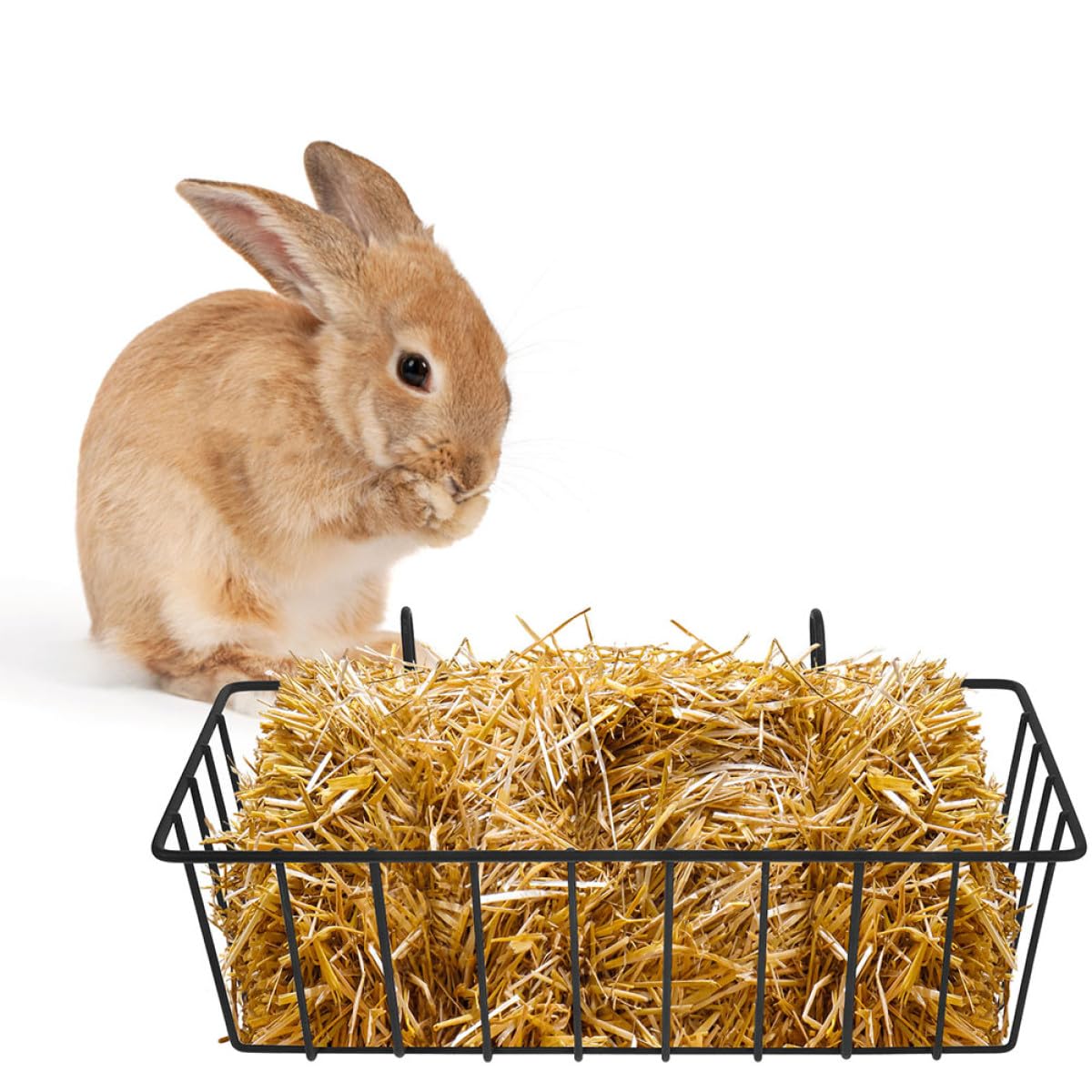 ULTECHNOVO Lot de 5 Râteliers à Foin pour Lapins en Fer Noir Résistants à l'usure Design Suspendu pour Cage d'animaux Petits Tels Que Chinchillas
