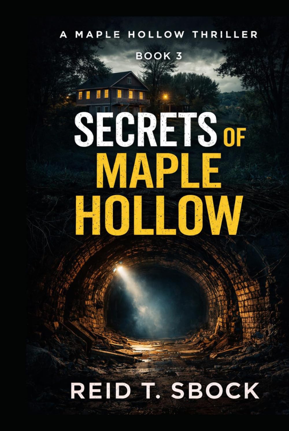 Secrets of Maple Hollow: Book 3: Maple Hollow Series