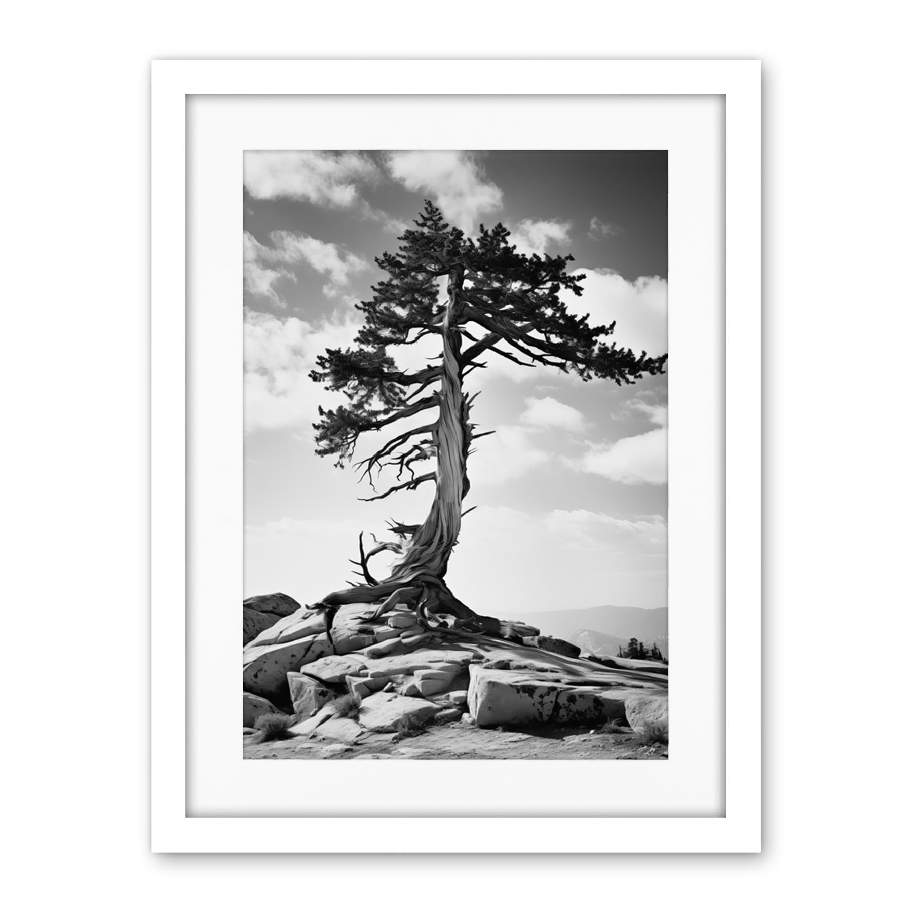 Artery8 Weathered Jeffrey Pine Standing on a Rocky Hill Black and White Photograph Lone Tree Artwork Framed Wall Art Print 18X24 Inch