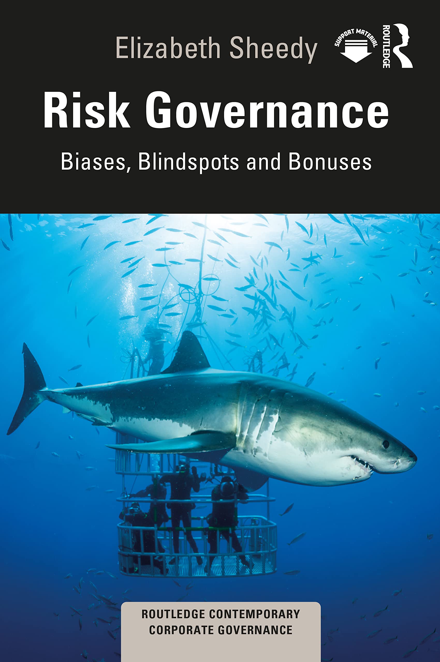 Risk Governance