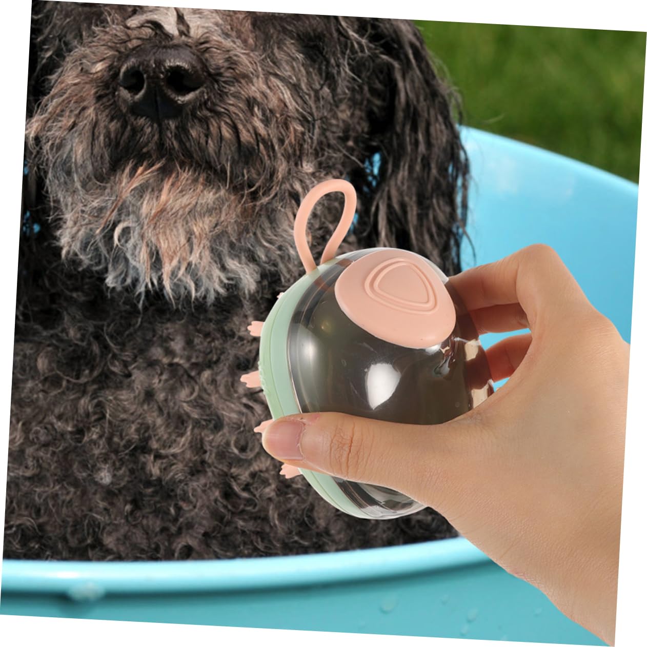 Kisangel 5piezas Cepillo De Baño Reutilizable Para Mascotas Cepillo De Masaje Para Perros y Gatos Herramienta De Limpieza Ecológica y Resistente