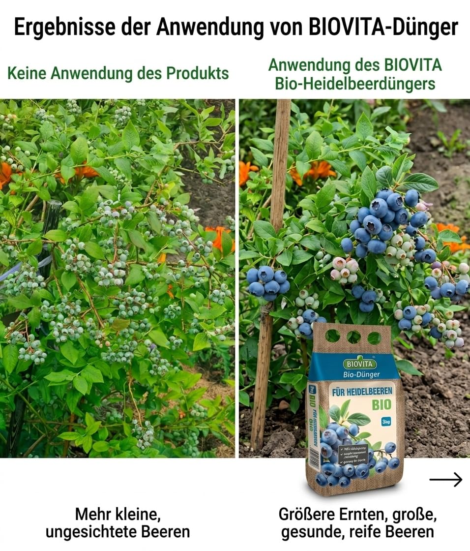 Bio Dnger fr Heidelbeeren  100% Organischer Granulatdnger 3 kg |  Natrlicher NPK-Dnger fr Blaubeeren, Hortensien & Rhododendren |  kologisch & Nachhaltig | : Amazon.de: Garten