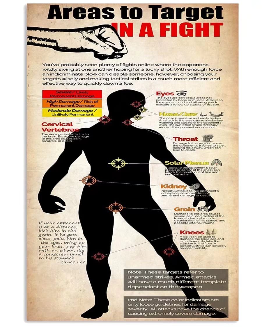 rayprint Martial Arts Lovers Knowledge Metal Sign Club Decor Areas To Target In A Fight Infographic Posters Vintage Plaque Wall Decor For Home Bar 8x12 Inches