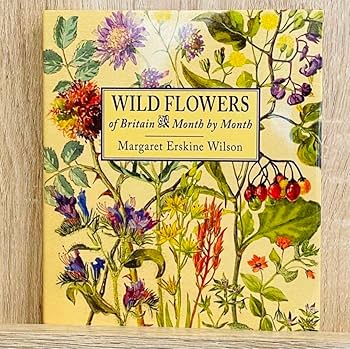 希少 レア アメリカンヴィンテージ アンティーク 野生植物図鑑 希少 レア アメリカンヴィンテージ アンティーク 野生植物図鑑