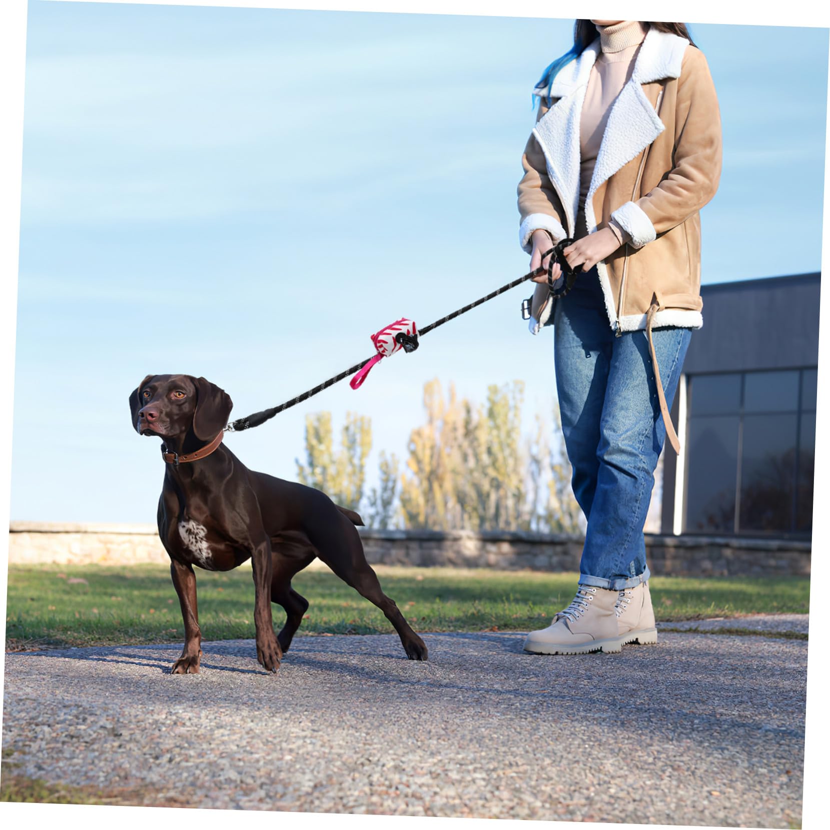 Gatuida Laisse pour Chien Nylon avec Distributeur et Sacs à Déjections Pet Supplies Extérieur pour Chiens Petits et Moyens