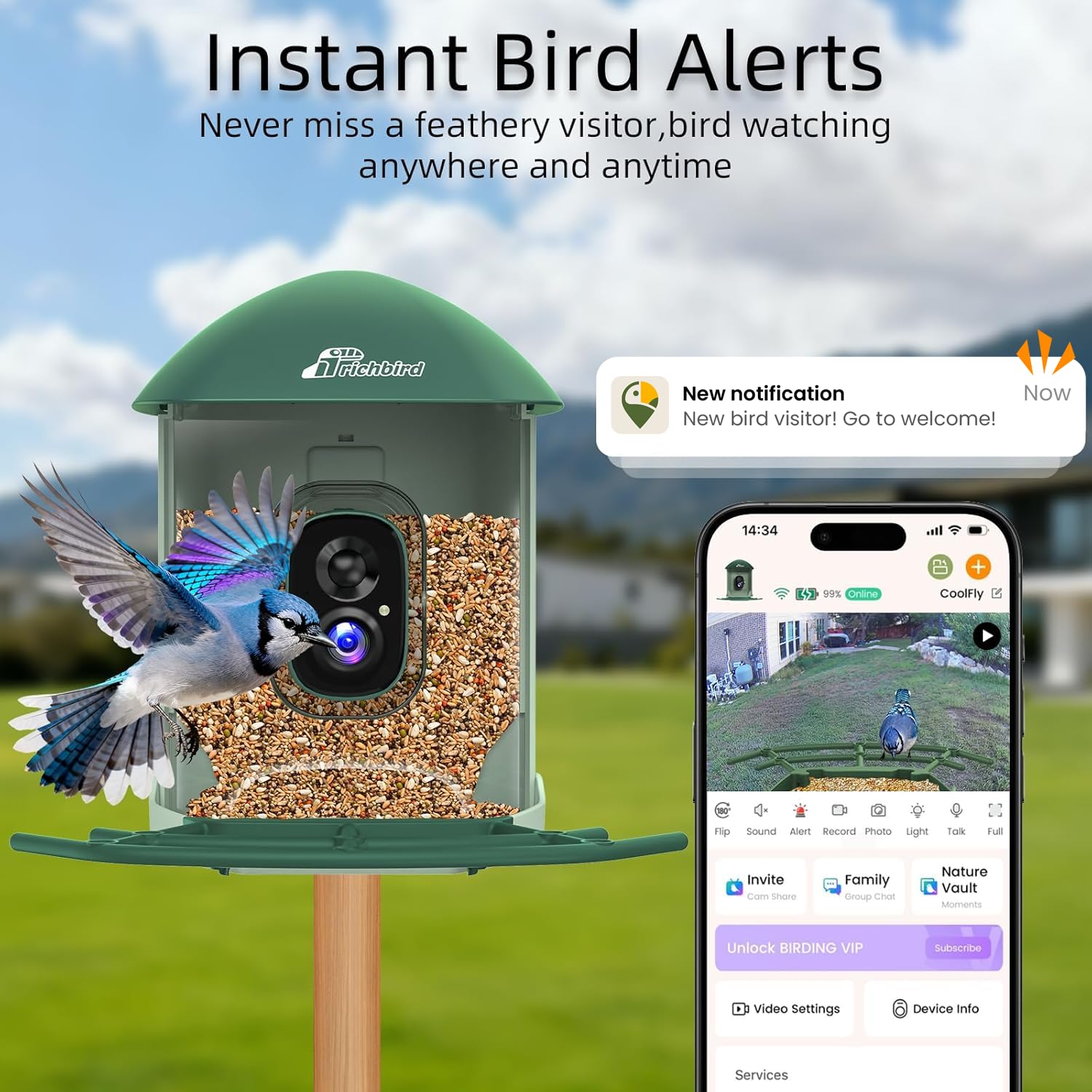 Comedero inteligente mejorado para pájaros con cámara HD 4K, cámara de observación de aves con IA para identificar pájaros y panel solar para exteriores, captura automática de video y notificaciones