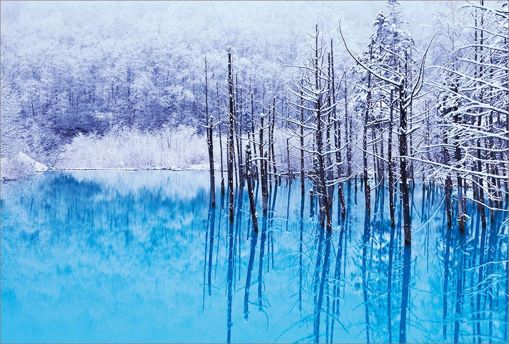 【青い湖ページ】 71tUaH3XE1L.jpg