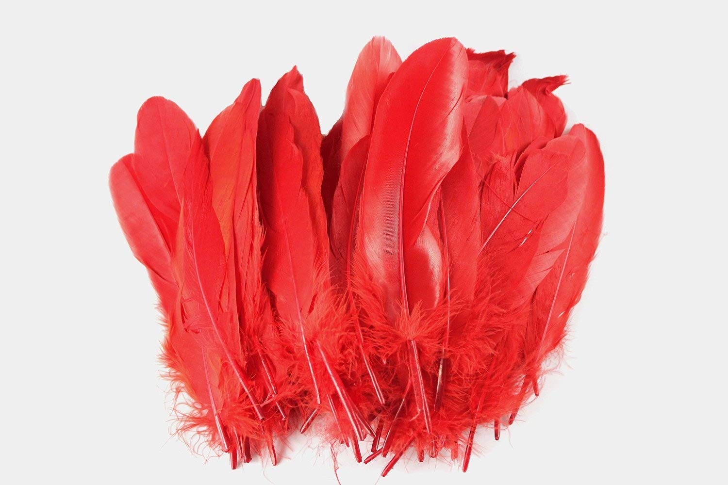 Amazon | 染め羽根 100枚 ガチョウの羽 15－20CM 工芸品 DIY