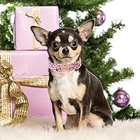 Vista 175 de Unique Style Paws - Collar rosa con hebilla de metal, duradero y lindo para perros pequeños a grandes