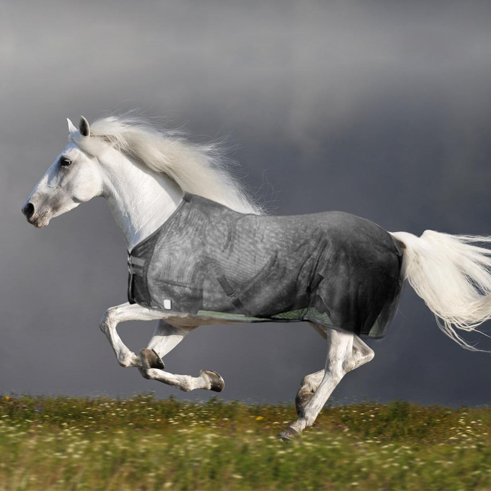 Fundas protectoras para el vientre de caballo, cubierta protectora para caballo, cubierta protectora para el abdomen de caballo, cubierta protectora para el abdomen de caballo