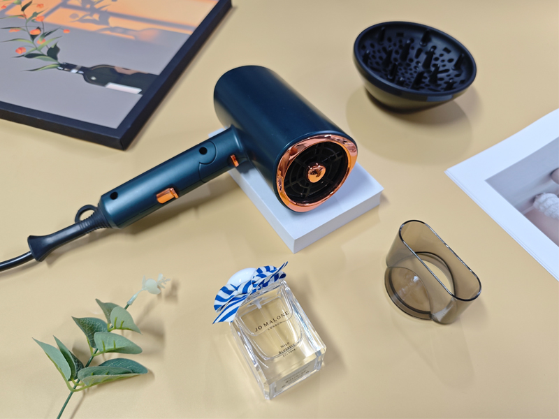 Amazon.com : Dxliwky Professional Ionic Hair Dryer Blow Dryer with