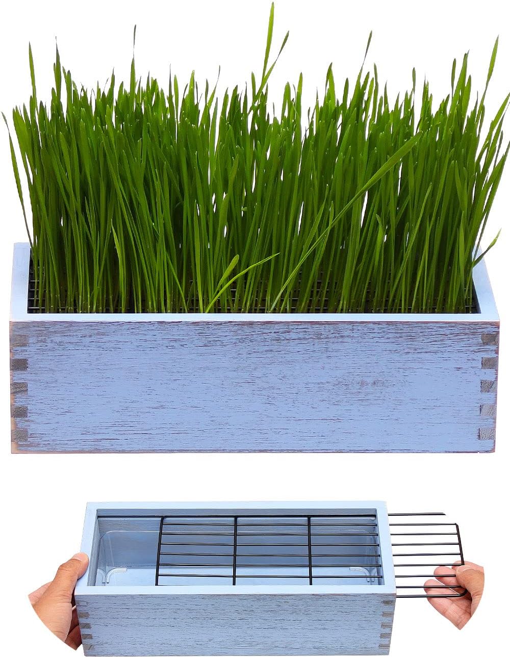 - Wooden Cat Grass Planter (no Seeds Included) with Anti Digging Design, and Removable Plastic Liner, Wheat Grass Growing Pot, Cat Grass for Indoor Cats Pets (Vintage Blue)