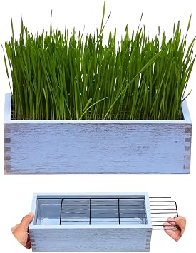 Wooden Cat Grass Planter no Seeds Included for Indoor Cats | Anti-Digging Design, Removable Plastic Liner, Easy to Clean, Mess Free, Wheat Grass Growing Pot for Cats Rabbits Pets