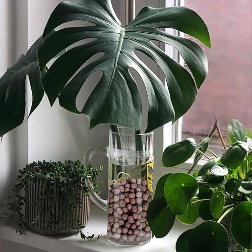 Miniatura 7 de Bolas de leca de 2.2 libras para plantas de interior, guijarros de arcilla expandida para plantas hidropónicas, mezcla para macetas de orquídeas,